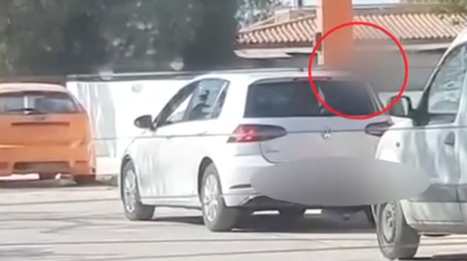 μαφία-της-κρήτης-βίντεο-από-το-εμπόριο-563801317