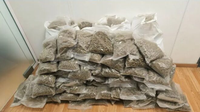 συνελήφθησαν-δύο-άτομα-που-εισήγαγαν-563801101