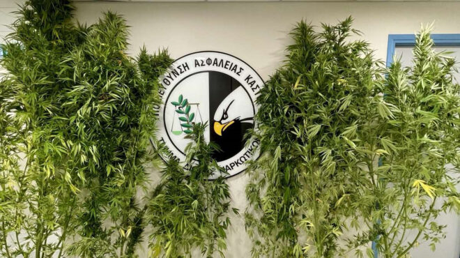 καστοριά-ο-αστυνομικός-σκύλος-ορφέας-563818009