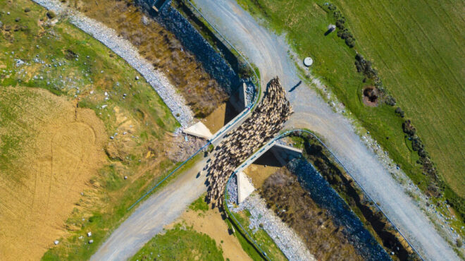 οπεκεπε-ο-χάρτης-των-παράνομων-επιδ-563792083