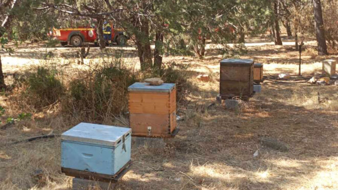 το-εκπα-κάνει-έξωση-στο-πειραματικό-563811973