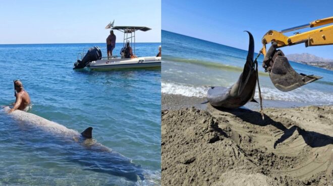 κρήτη-ανησυχία-για-τις-τρεις-νεκρές-φά-563833459