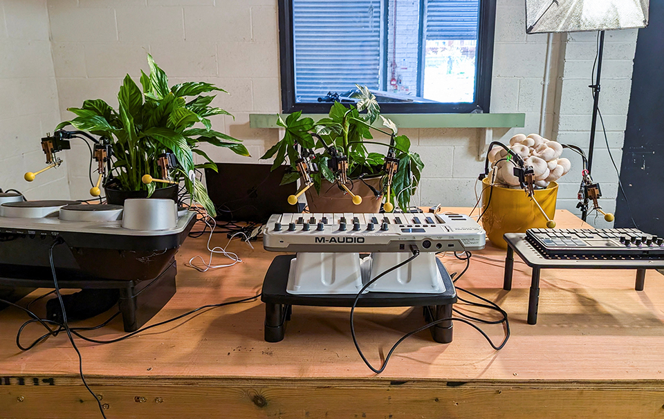 80 χρόνια Βιετνάμ-2