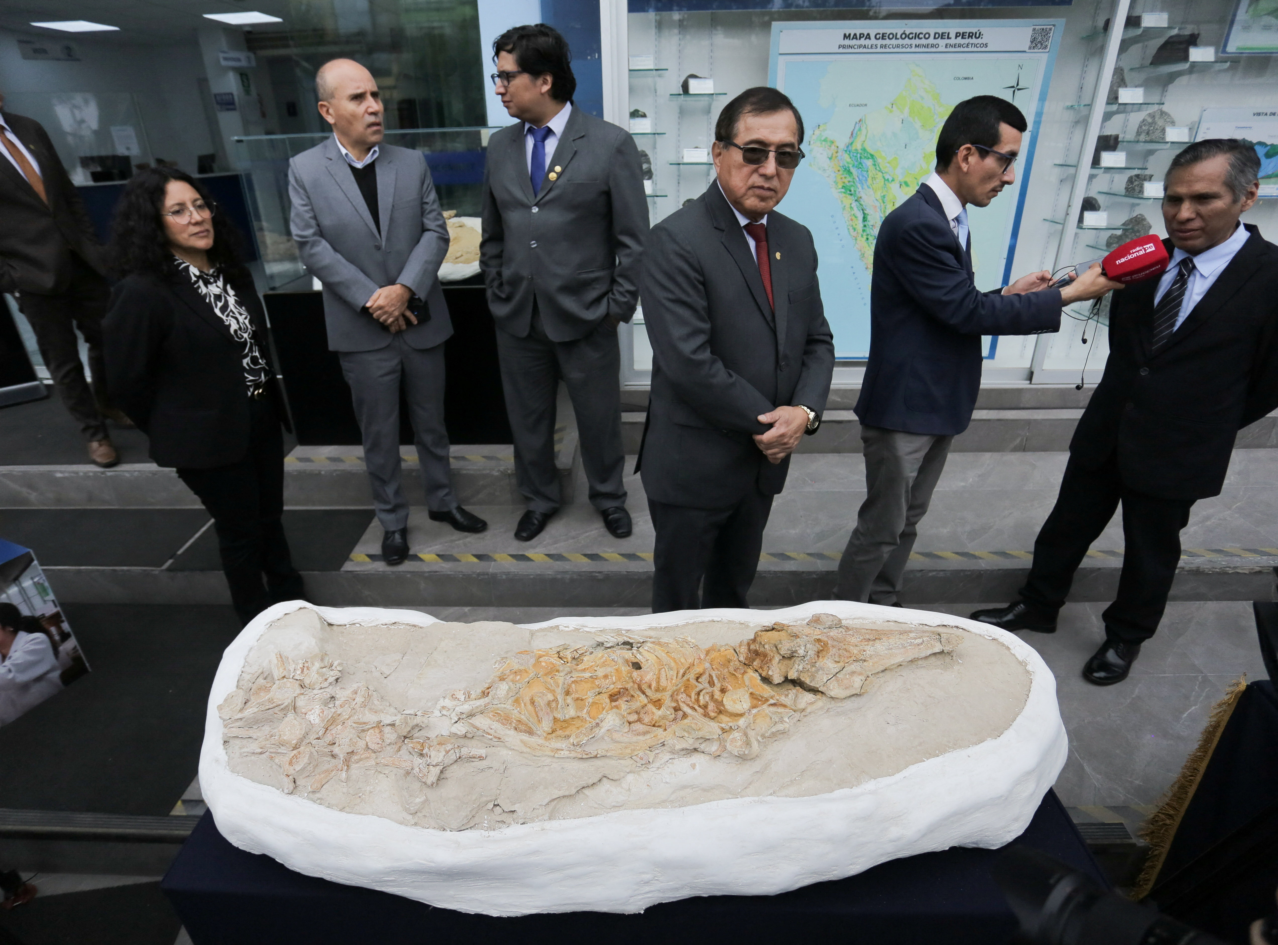 Περού: Ανακαλύφθηκε απολίθωμα δελφινιού ηλικίας 12 εκατομμυρίων ετών-1