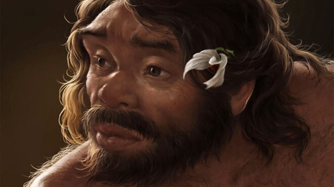 πώς-ένα-κρανίο-1-εκατ-ετών-ξαναγράφει-563834902