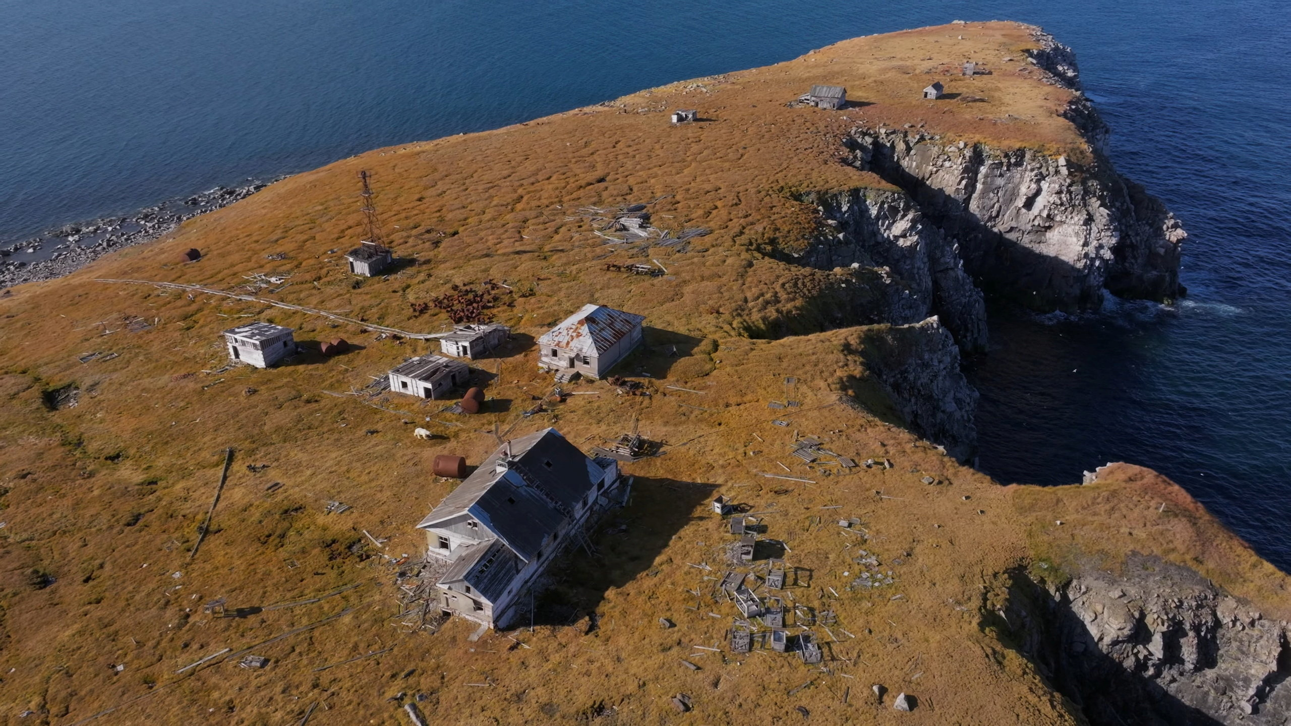 Αρκτικοί καταληψίες: Πολικές αρκούδες «κατέλαβαν» τα ερείπια σοβιετικού ερευνητικού σταθμού-8