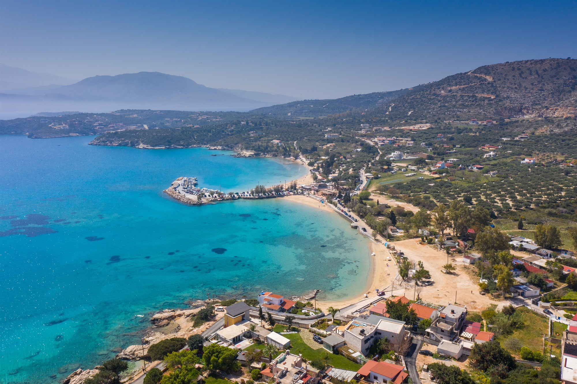 Αντιμέτωποι με τα σαγόνια των χελωνών-1