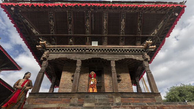 η-κουμάρι-563798506