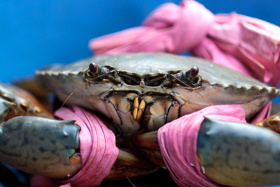 Διακοπές τέλος-3