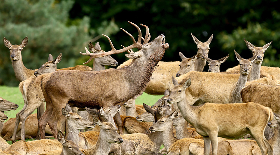 Διακοπές τέλος-1