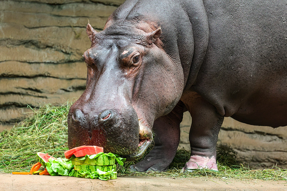 Η γαλήνια εικόνα μιας καταστροφής-3
