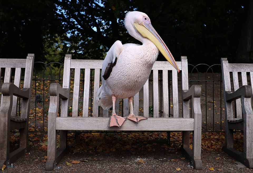 Τα ρομπότ στην δουλειά-3