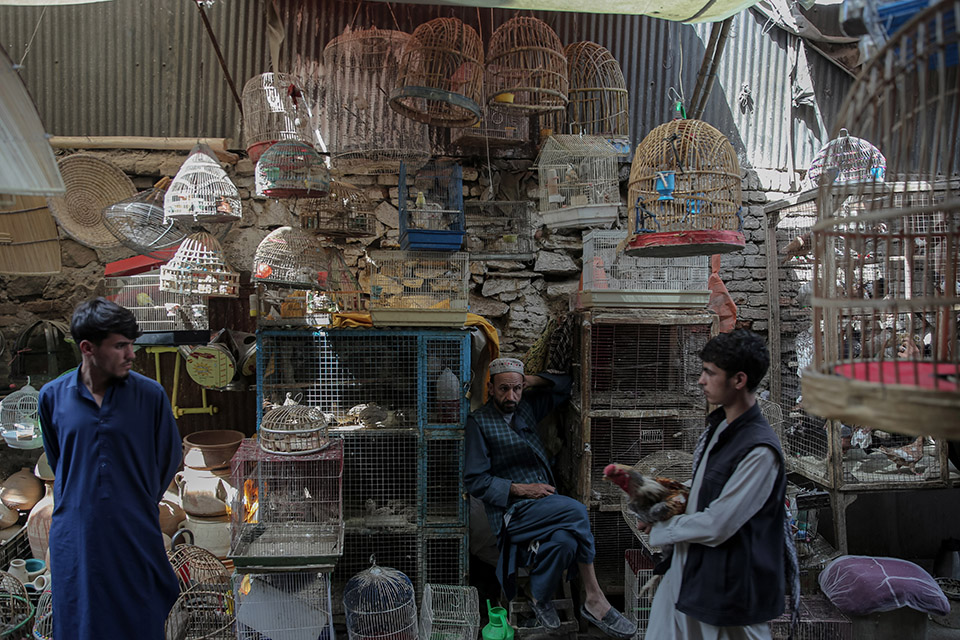 Η νέα οικία-1