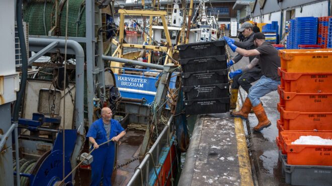 αδηφάγα-χταπόδια-κατέλαβαν-τις-νότιε-563840404