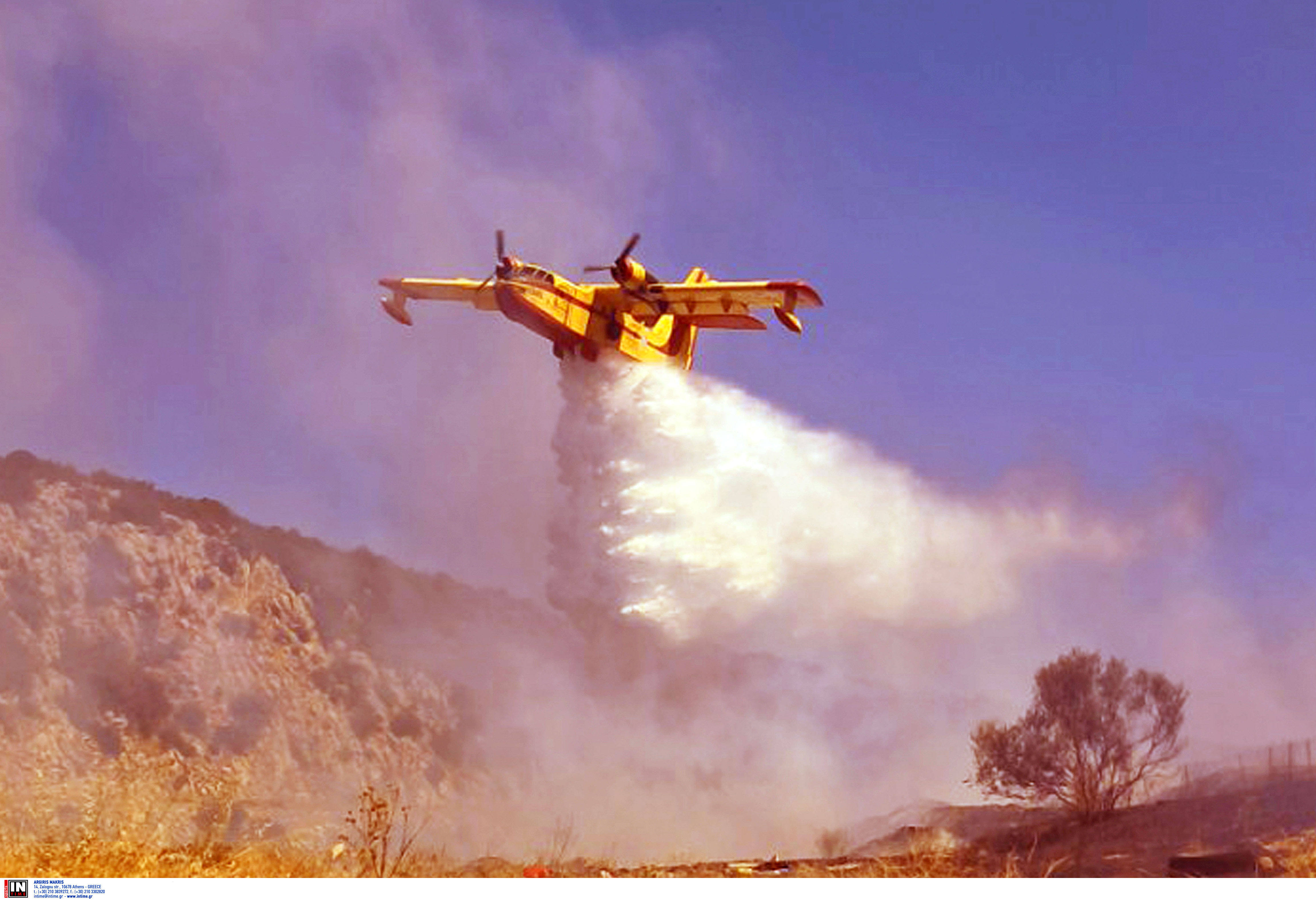 Αργολίδα: Σε ύφεση και χωρίς ενεργό μέτωπο η πυρκαγιά σε δασική έκταση στο Κουνούπι-2