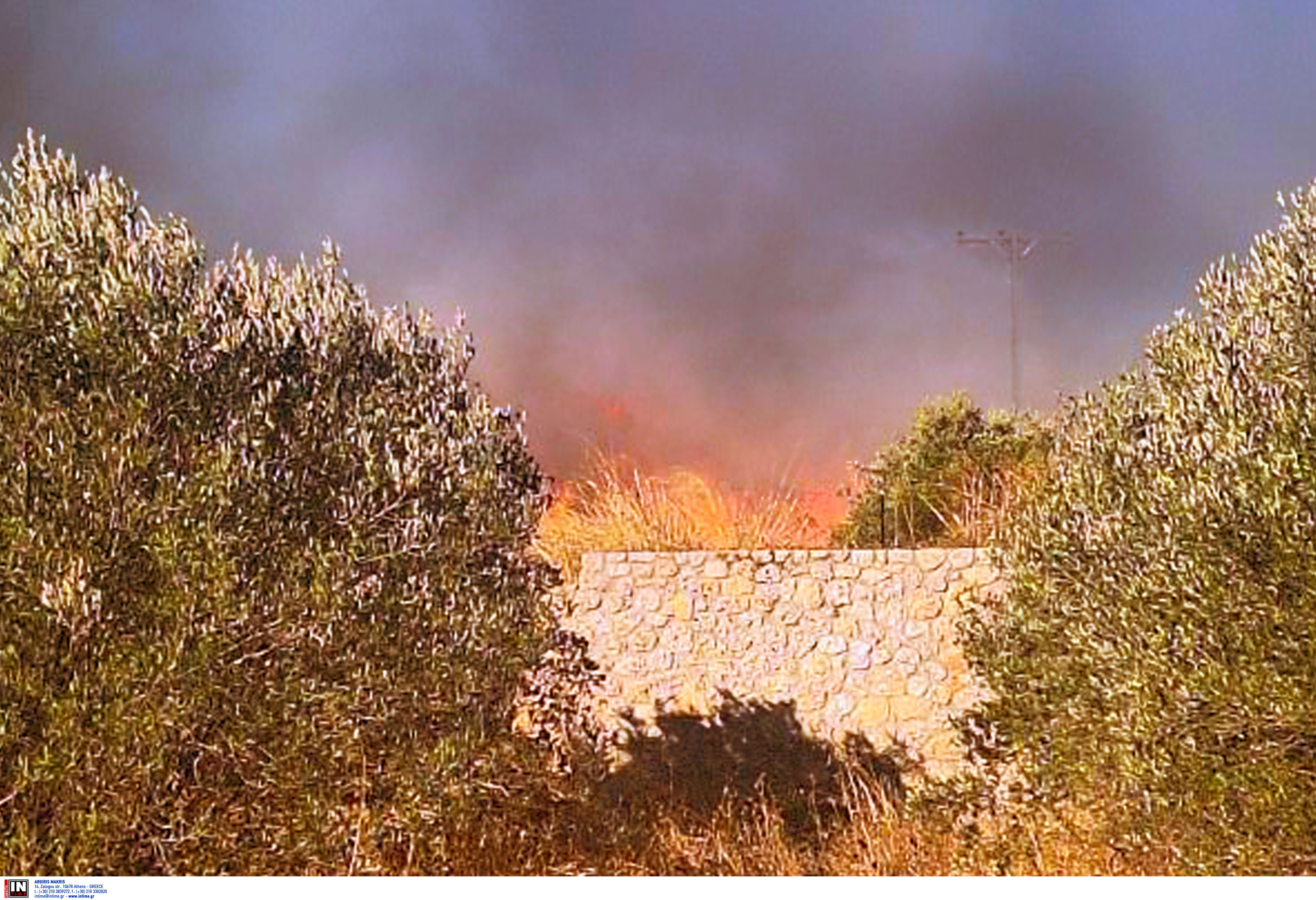 Αργολίδα: Σε ύφεση και χωρίς ενεργό μέτωπο η πυρκαγιά σε δασική έκταση στο Κουνούπι-1