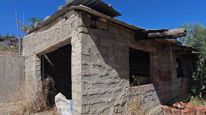 βοιωτία-ελεύθερη-η-62χρονη-που-έπαιρνε-563826937