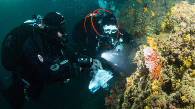 αχαρτογράφητος-θησαυρός-στη-μεσόγ-563815534