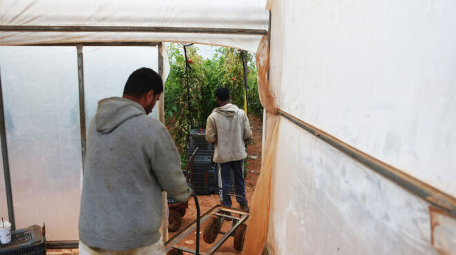 μεταναστευτικό-στην-αγορά-εργασίας-ό-563837740