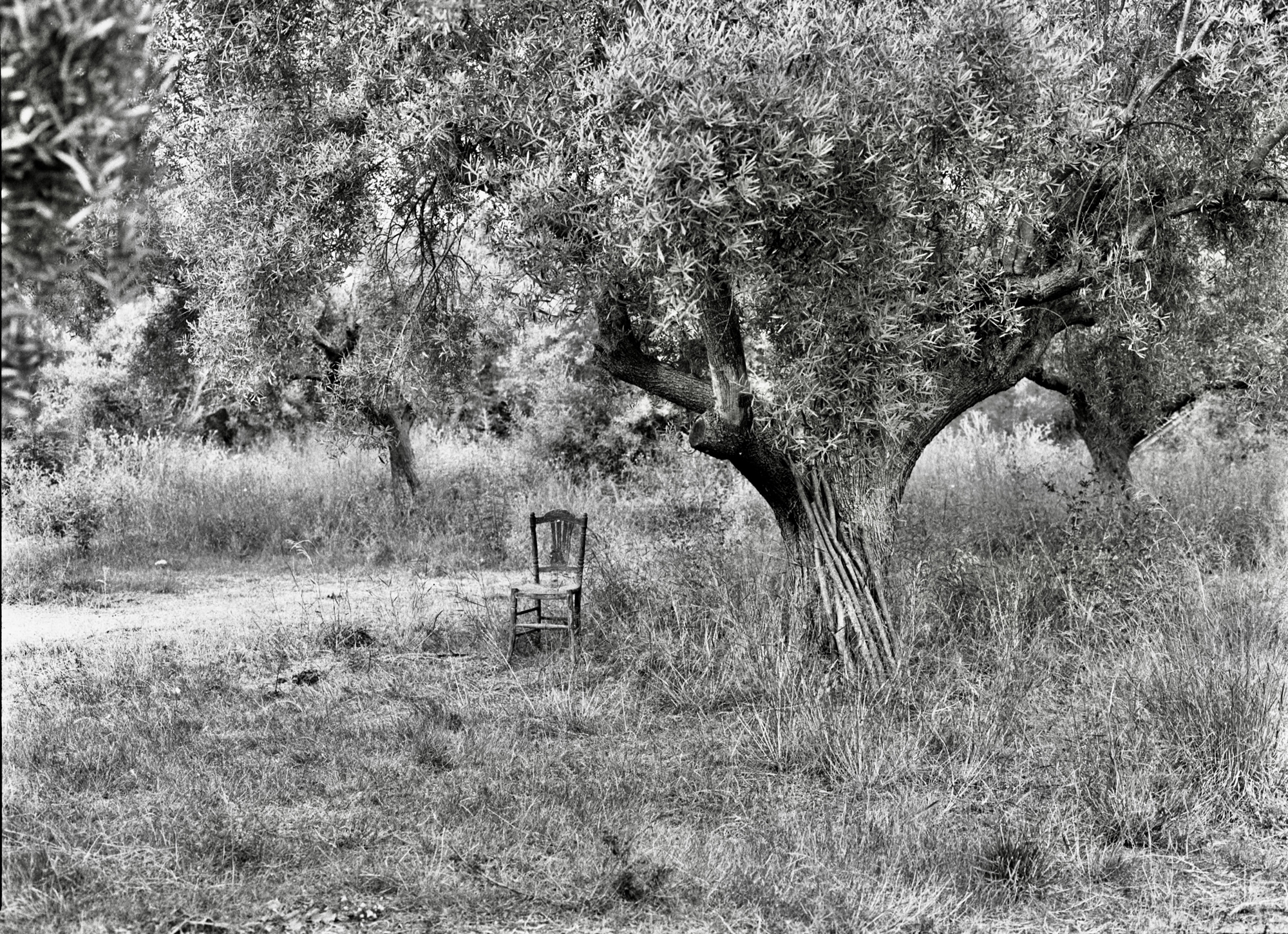 Η σιωπηλή μάρτυρας της ανθρώπινης παρουσίας-4