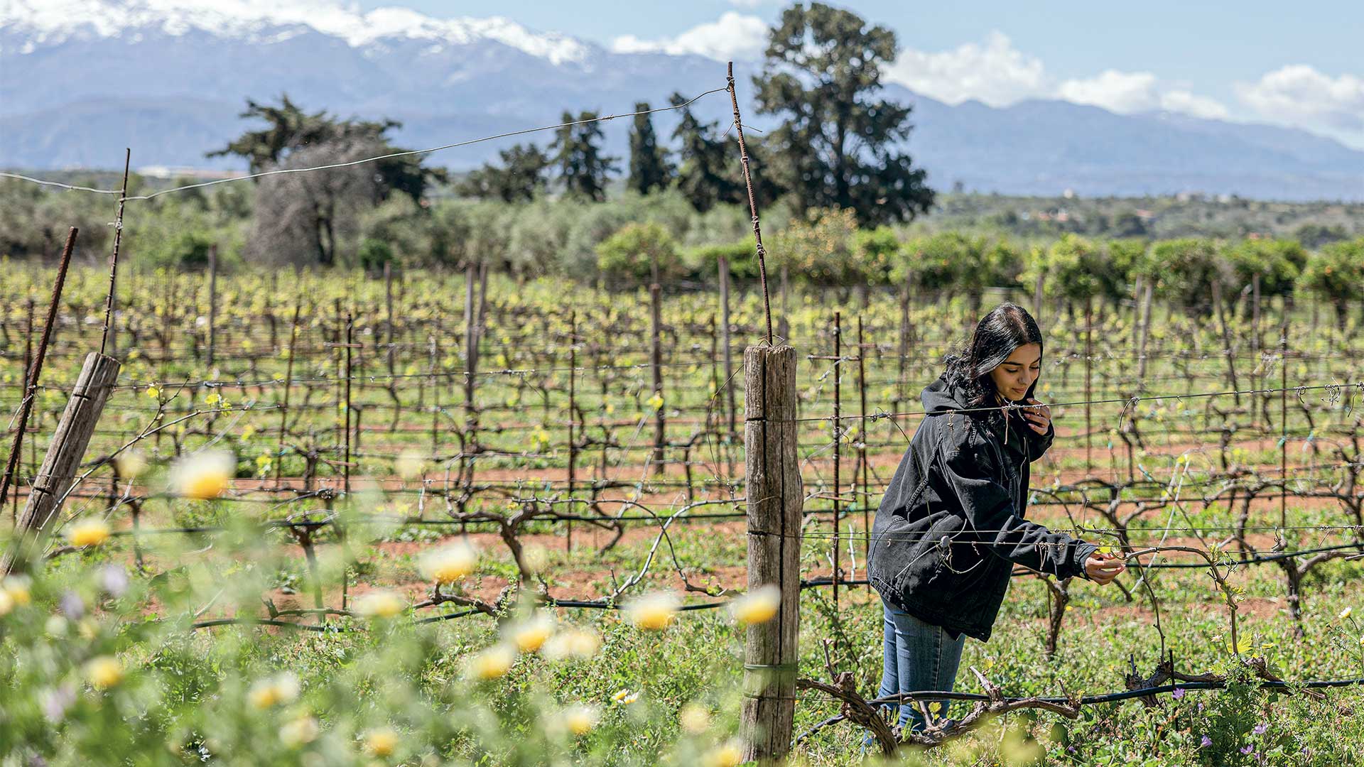 Ακρωτήρι Χανίων: Μια πεζοπορική διαδρομή ανάμεσα σε φύση και μύθους-1