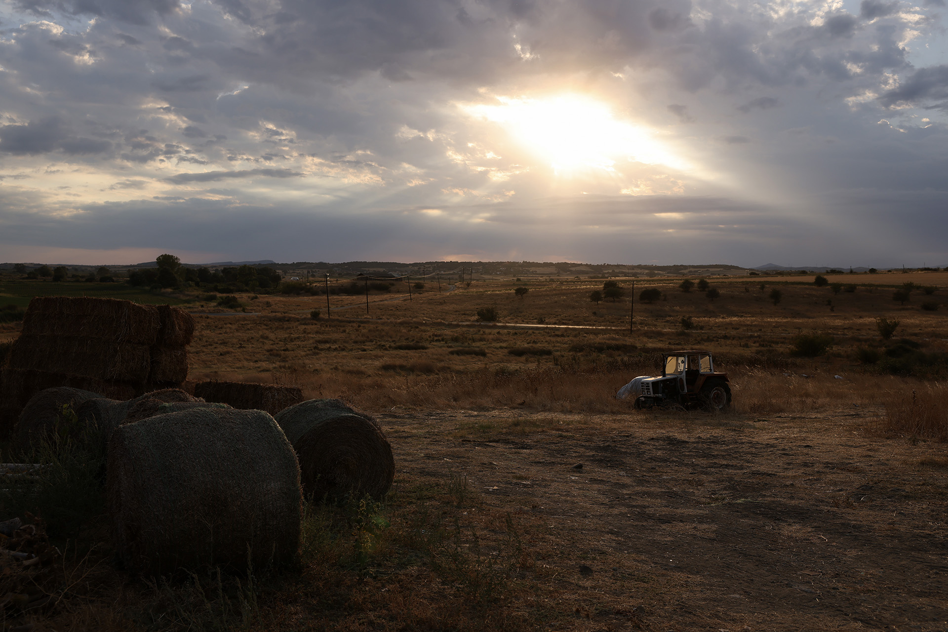 Ευλογιά των προβάτων: Ιχνηλατώντας το πρώτο κρούσμα-2
