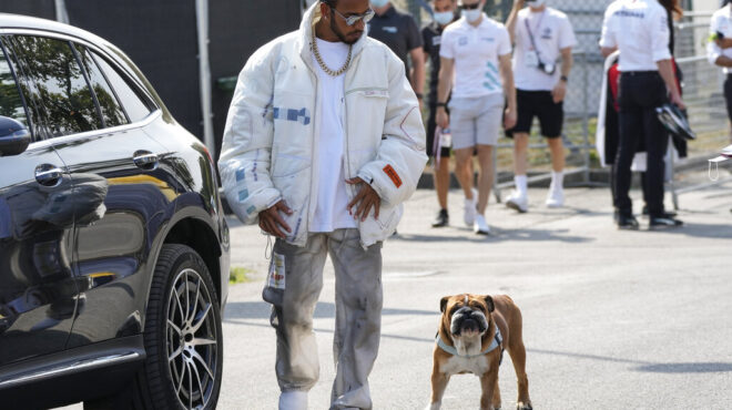 τρέξε-ρόσκο-είσαι-ελεύθερος-πια-563841499