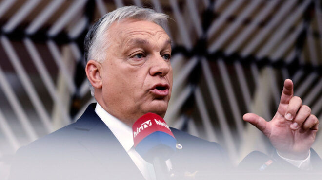 ελληνικά-γαλακτοκομεία-η-πρώτη-αντίδ-563822698