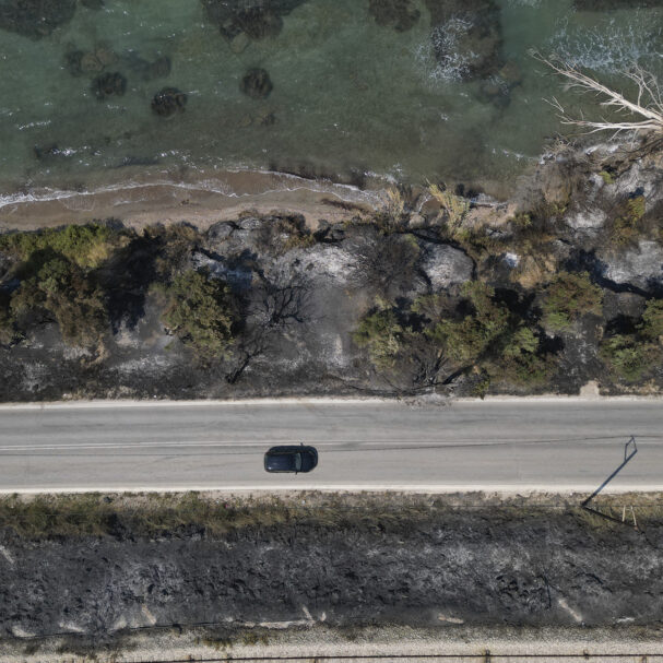 η-ακτινογραφία-των-καμένων-468-000-στρέμμ-563792200