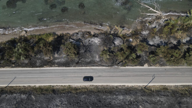 η-ακτινογραφία-των-καμένων-468-000-στρέμμ-563792200