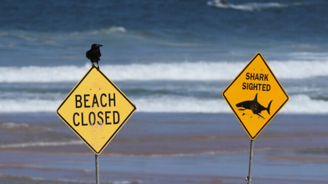 αυστραλία-ομογενής-ο-σέρφερ-που-σκοτώ-563800558
