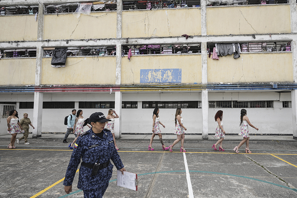 Ολοι, μα όλοι-1