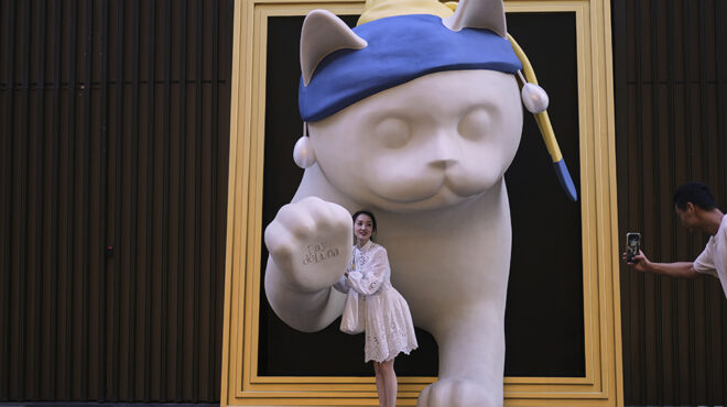 δημιουργίες-για-φόντο-φωτογραφιών-563814424