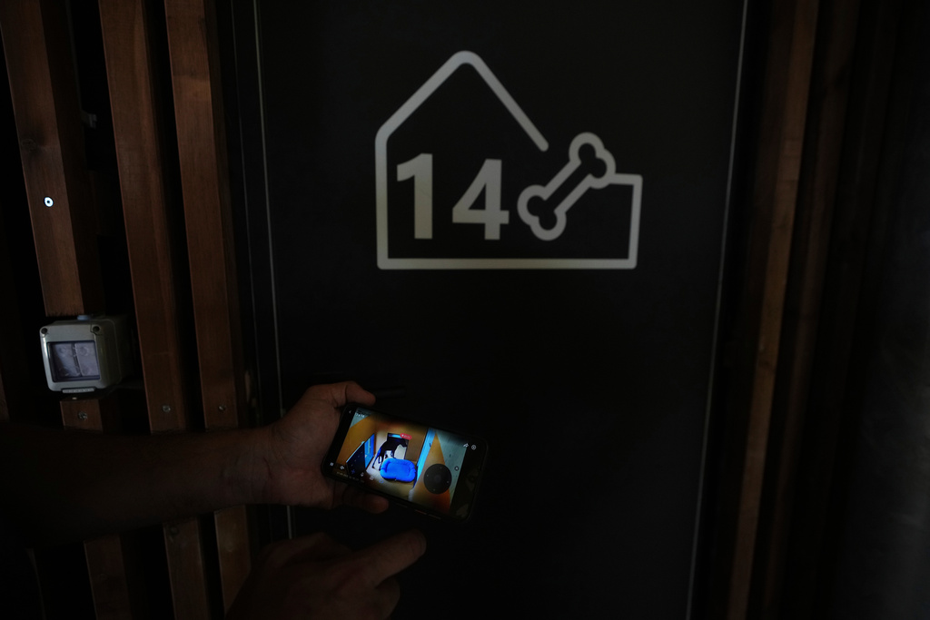 Στο αεροδρόμιο της Ρώμης άνοιξε πολυτελές ξενοδοχείο για σκύλους – Χαλάρωση με αρωματοθεραπεία και μουσική-4