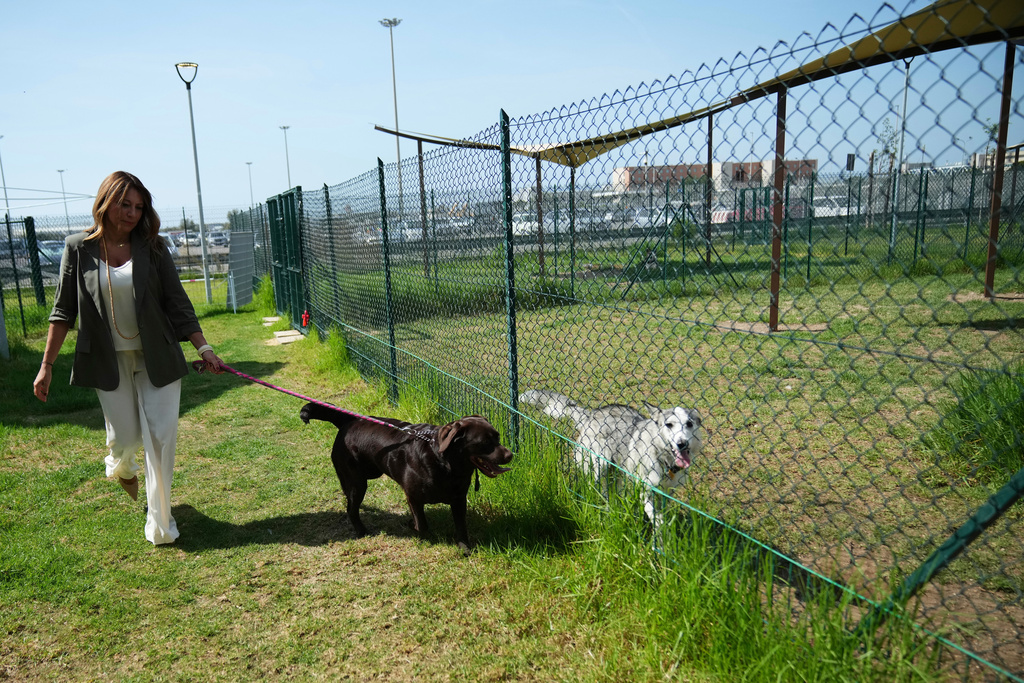 Στο αεροδρόμιο της Ρώμης άνοιξε πολυτελές ξενοδοχείο για σκύλους – Χαλάρωση με αρωματοθεραπεία και μουσική-5