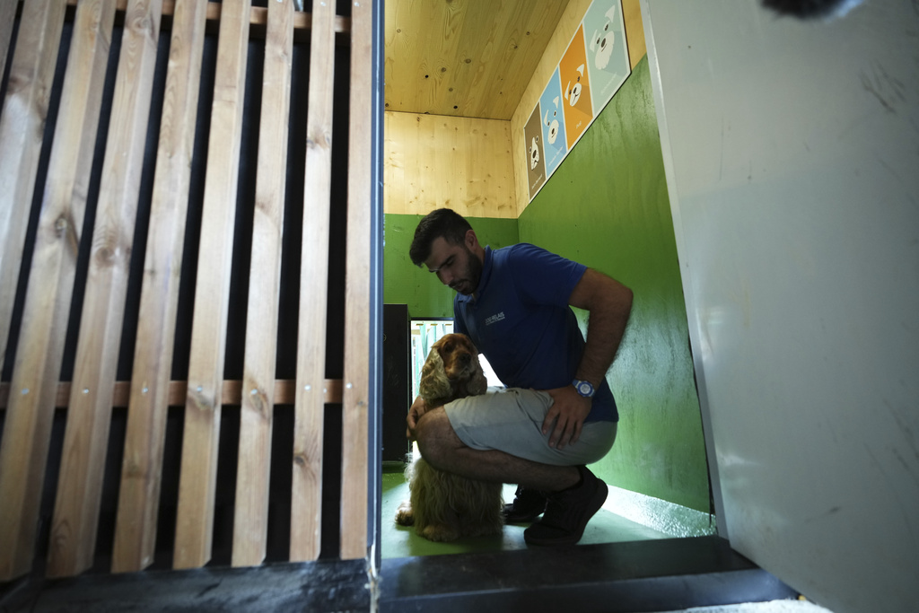 Στο αεροδρόμιο της Ρώμης άνοιξε πολυτελές ξενοδοχείο για σκύλους – Χαλάρωση με αρωματοθεραπεία και μουσική-3