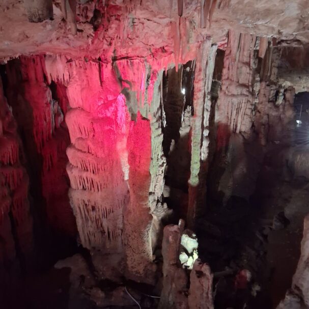 σφενδόνη-στα-άδυτα-του-μεγαλύτερου-επ-563798290