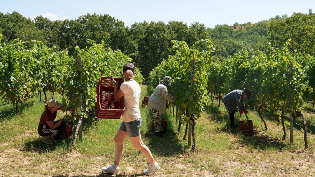 στην-άγνωστη-γουμένισσα-για-καλό-κρ-563839408