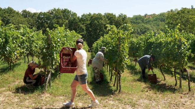στην-άγνωστη-γουμένισσα-για-καλό-κρ-563839408