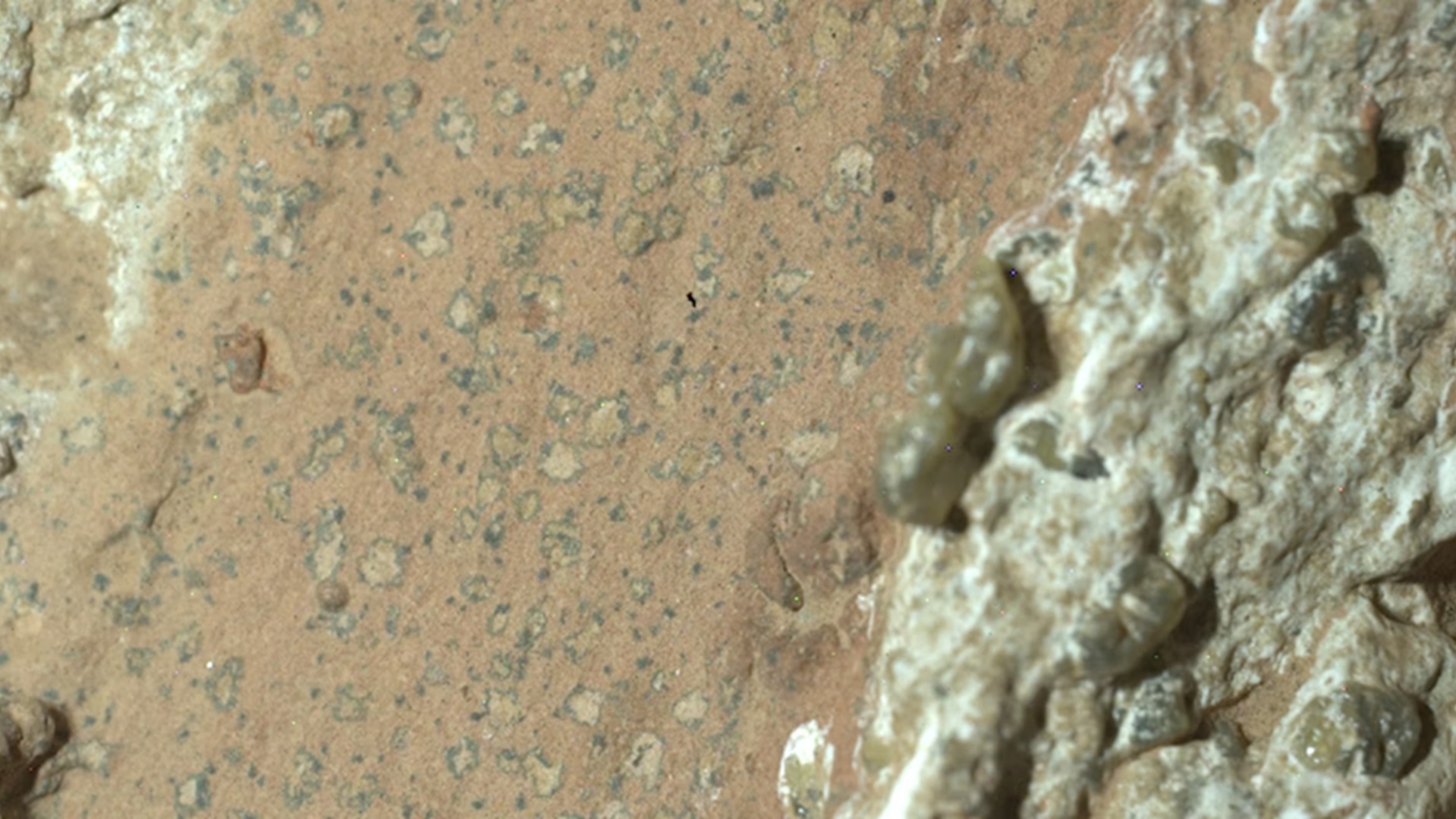 «Οι ισχυρότερες έως τώρα ενδείξεις αρχαίας ζωής στον Αρη»-1