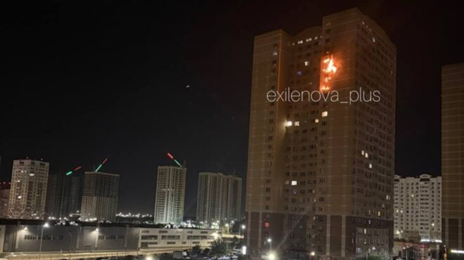 ρωσία-απομάκρυνση-εκατοντάδων-κατοί-563791441