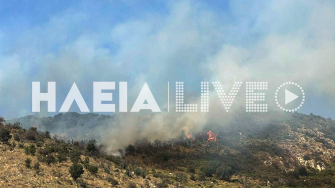 φωτιά-στην-περιοχή-της-αρχαίας-ολυμπί-563812441