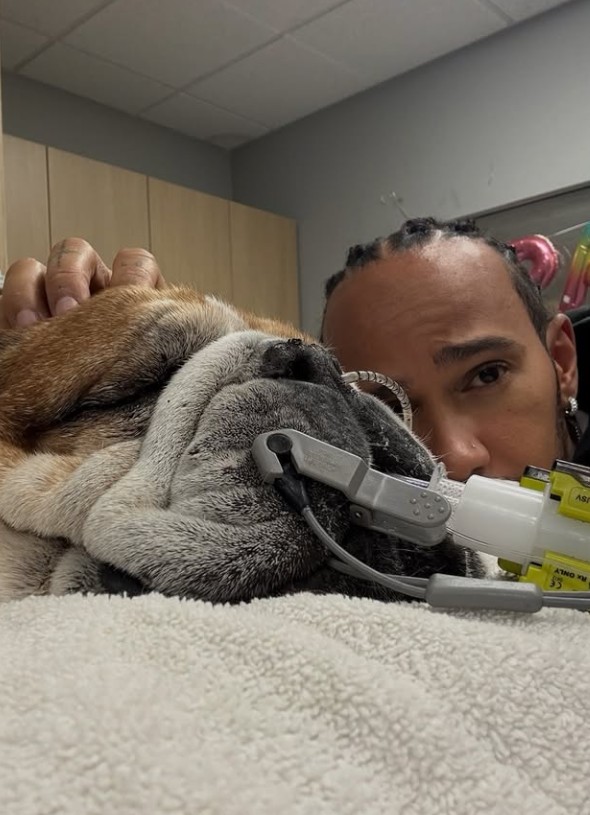 Ο Χάμιλτον αποχώρησε από τις δοκιμές ελαστικών για να είναι δίπλα στον άρρωστο σκύλο του-1