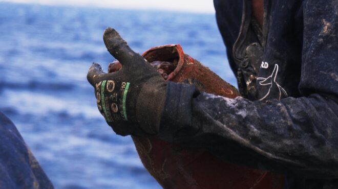 h-μάχη-για-τα-ελληνικά-χταπόδια-563795863