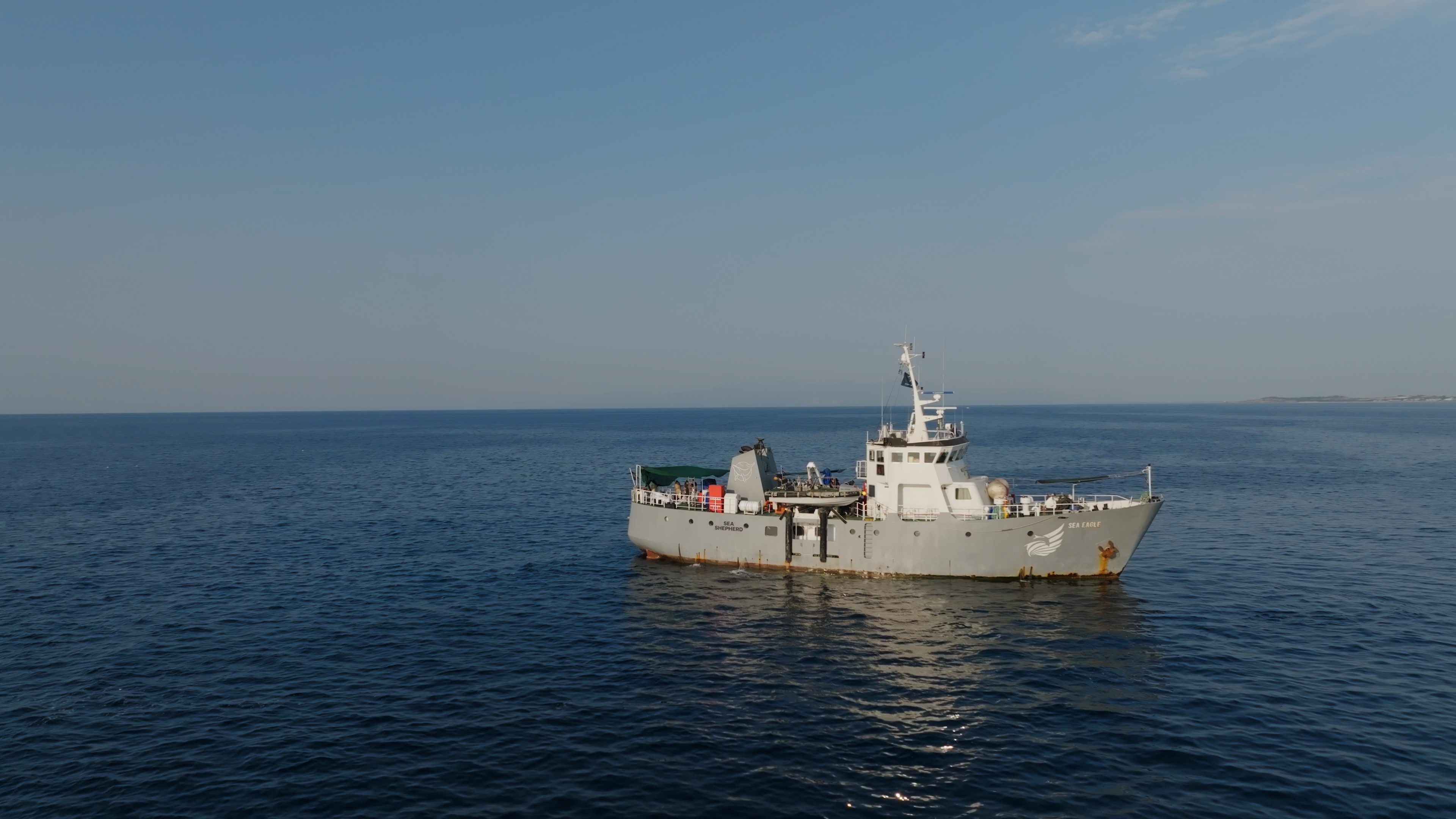 H μάχη για τα ελληνικά χταπόδια-1