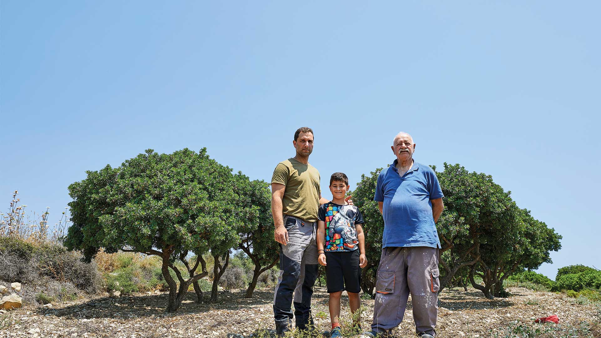 Μαστίχα: Η δύσκολη καλλιέργεια που κρατά ζωντανή τη Χίο-2
