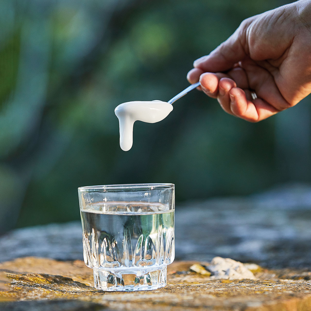 μαστίχα-η-δύσκολη-καλλιέργεια-που-κρα-563828839