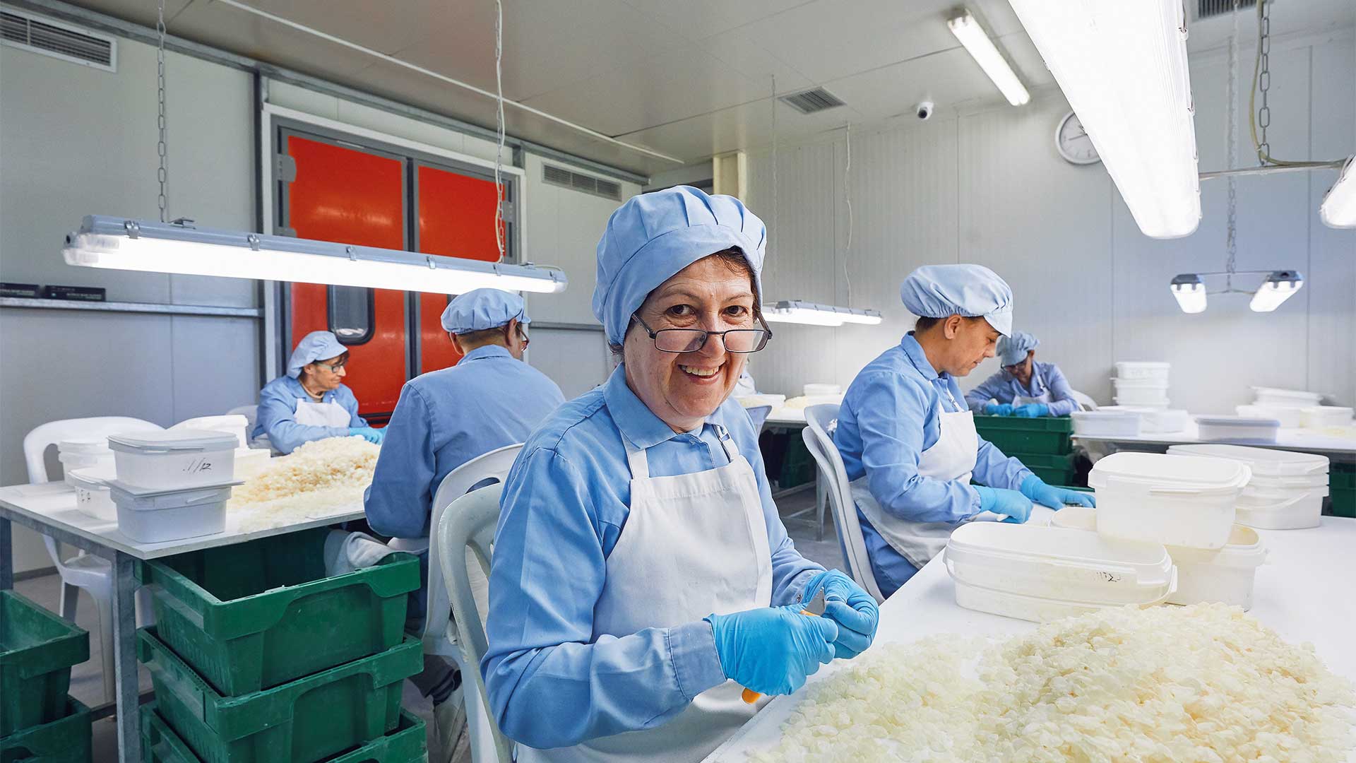 Μαστίχα: Η δύσκολη καλλιέργεια που κρατά ζωντανή τη Χίο-3