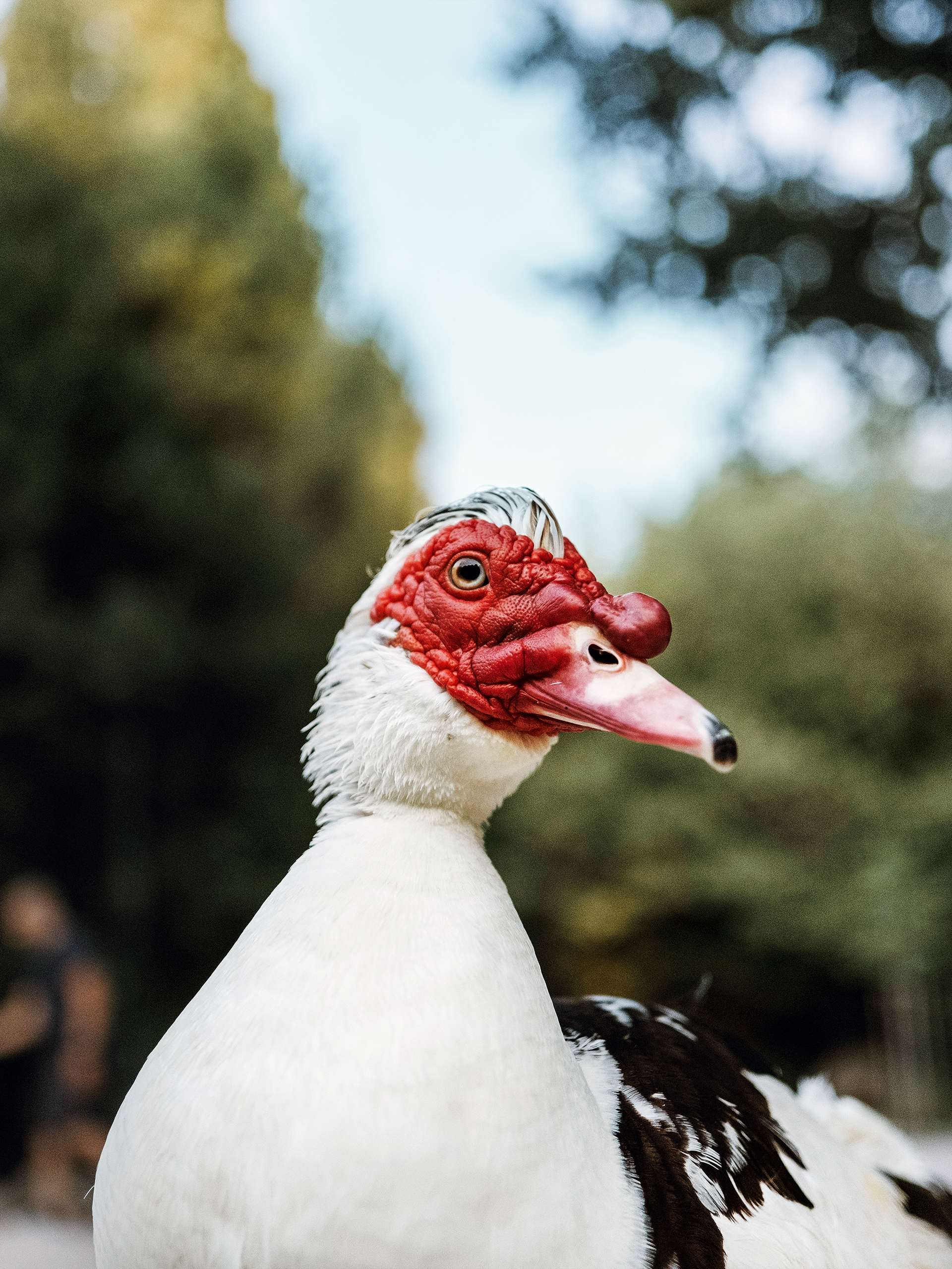 Έχει ακόμα μυστικά ο Εθνικός Κήπος;-2