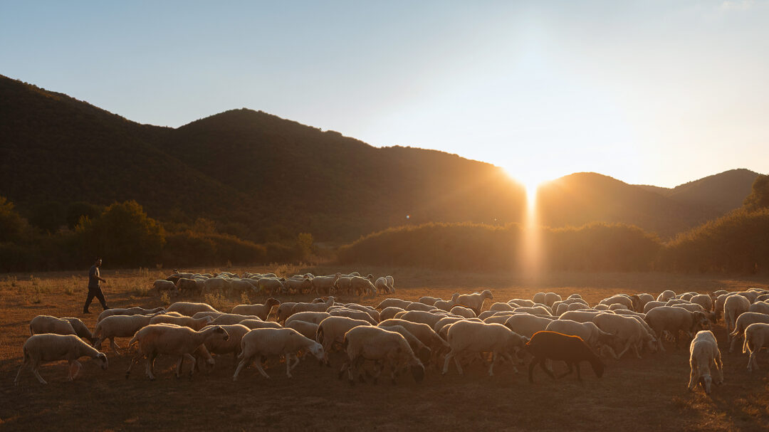 γιατί-το-μέλλον-μας-διαγράφεται-μάλλ-563822935
